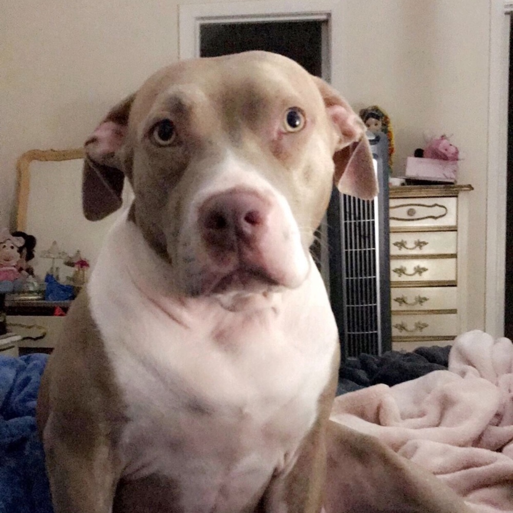 Meet your Posher, Eli